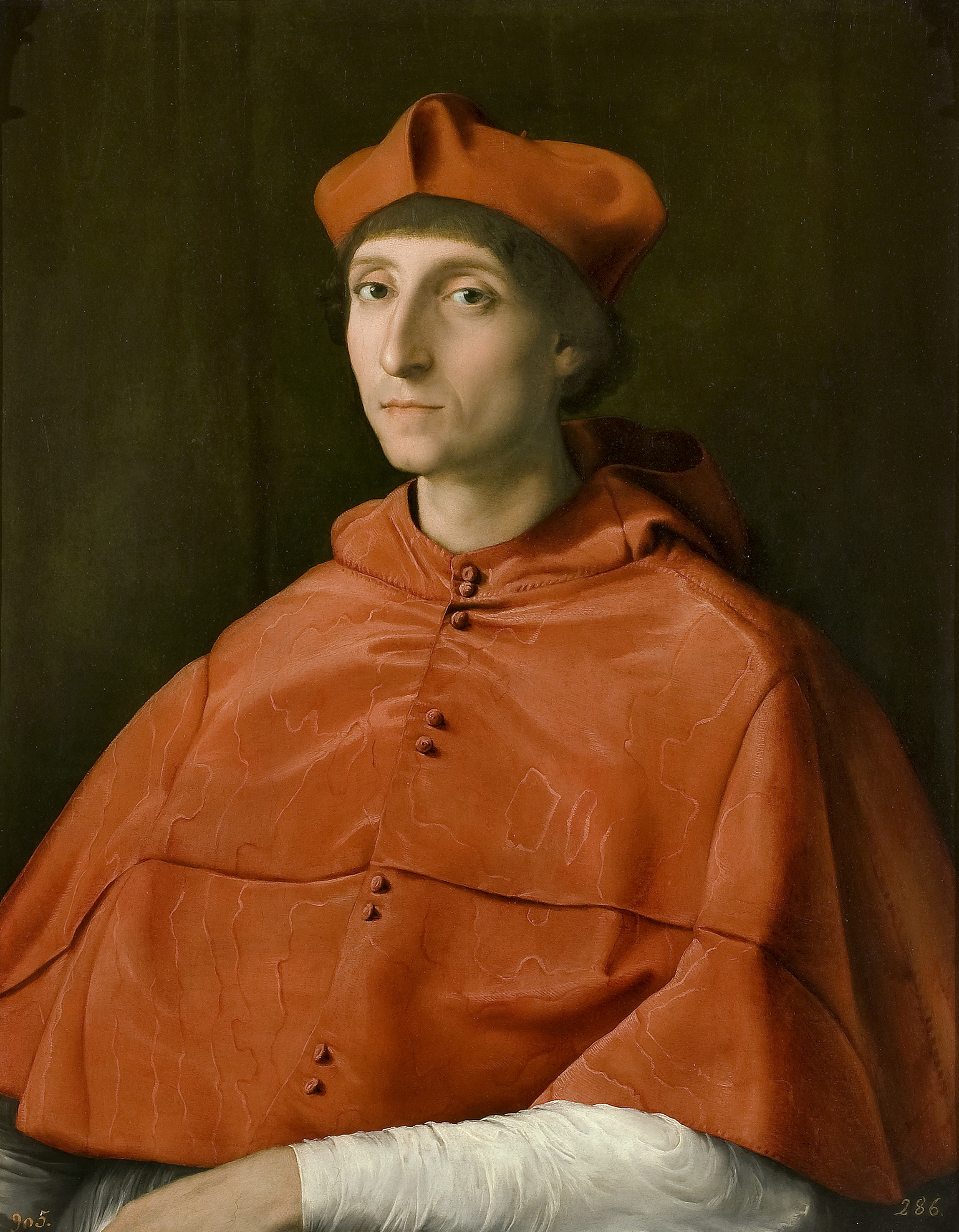The Cardinal, Raphael